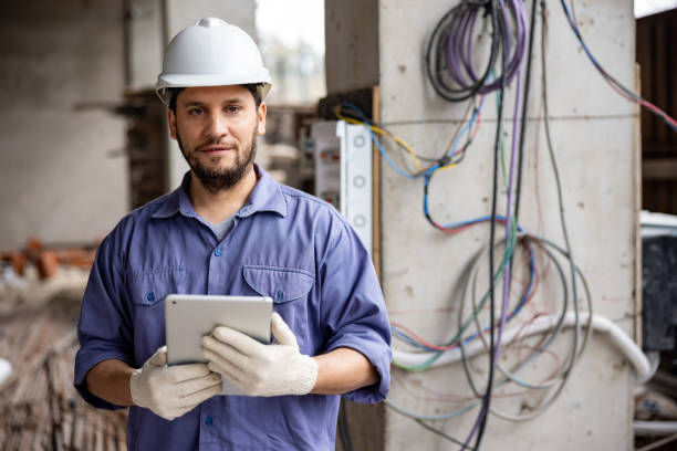 Best Electric Panel Repair  in Crystal Lake, IL